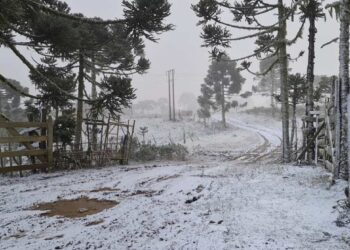 Neve propicia belas paisagens na Serra Catarinense