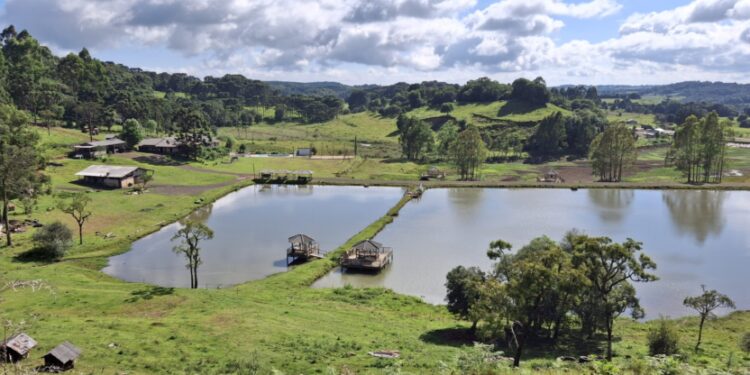 Fazenda Araçá: lazer rural com pesca do dourado e de colhe-pague de morangos